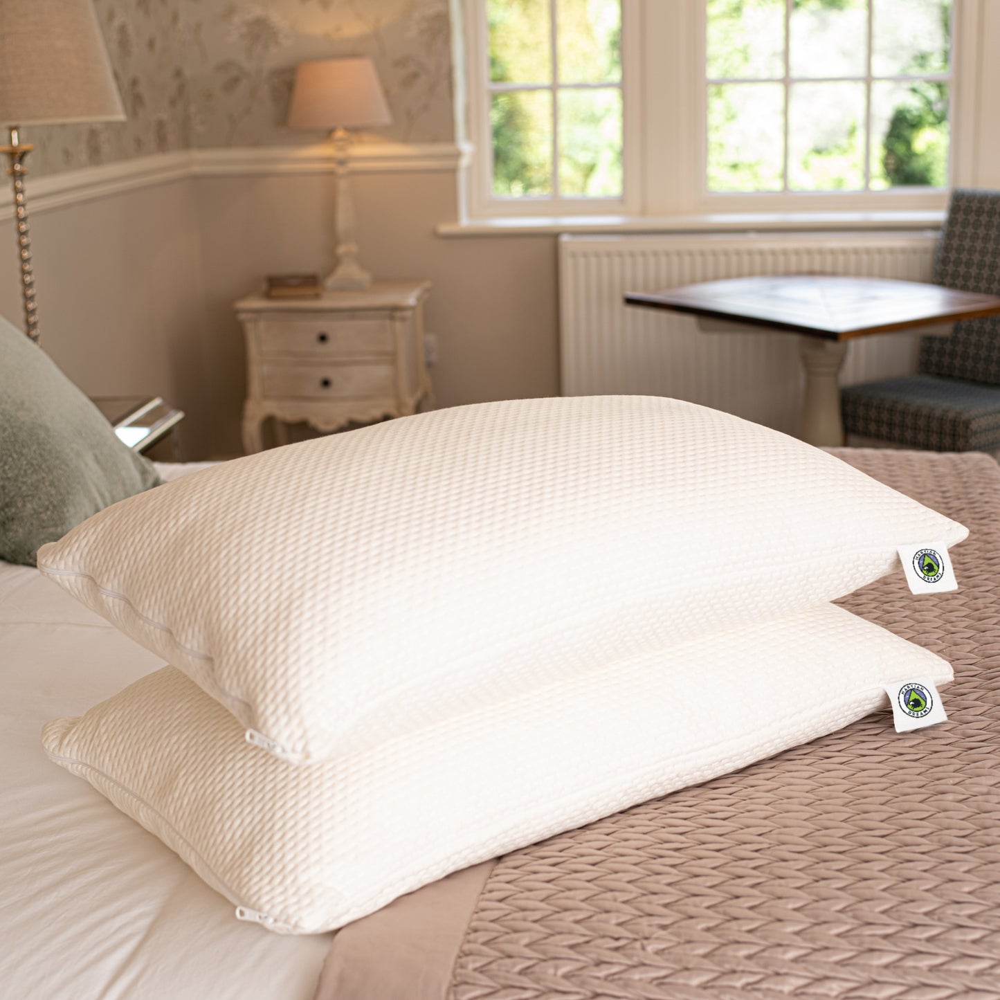 Martian Dreams Pillow Protectors - 2 Pack