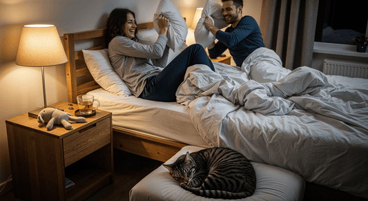 Pillow Fights, Bedtime Rituals, and Other Sleep-Time Oddities