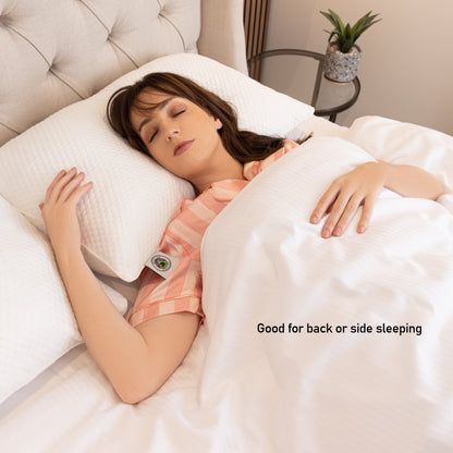 Martian Dreams Hybrid Pillow 2 Pack