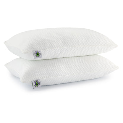 Martian Dreams Hybrid Pillow 2 Pack