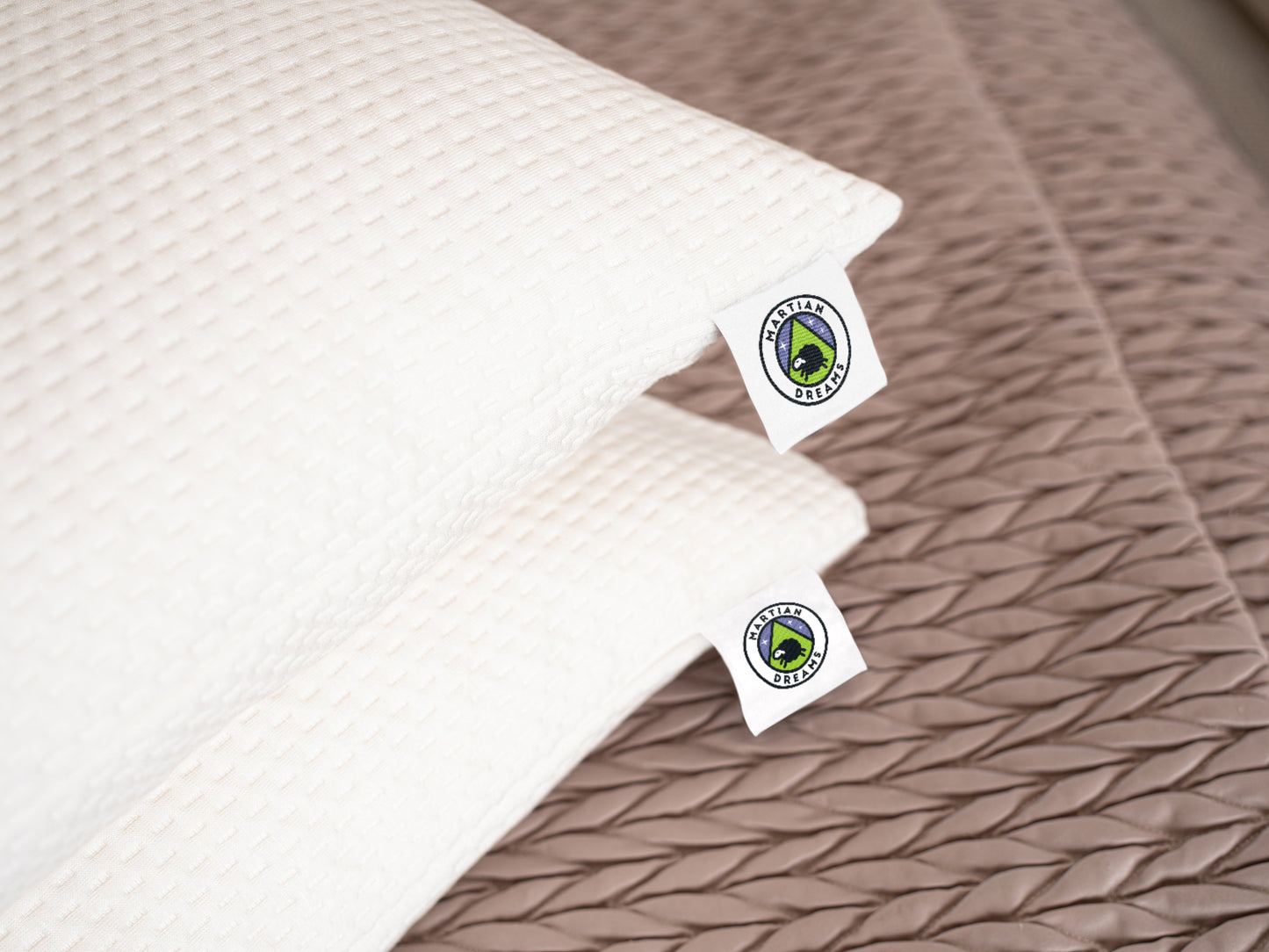 Martian Dreams Pillow Protectors - 2 Pack