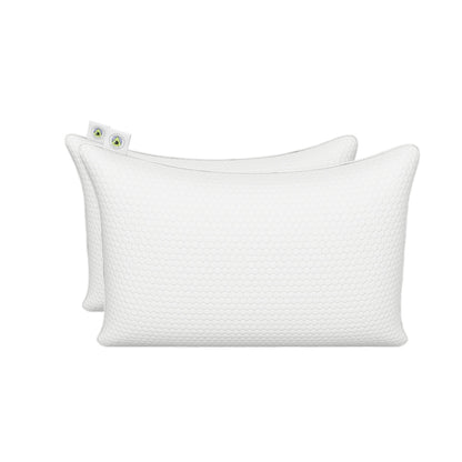 Martian Dreams Hybrid Pillow 2 Pack