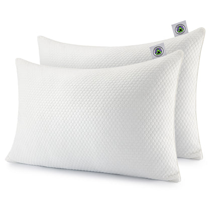 Martian Dreams Hybrid Pillow 2 Pack