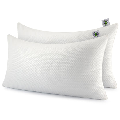 Martian Dreams Hybrid Pillow 2 Pack